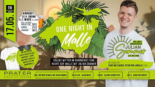 ONE NIGHT IN MALLE
